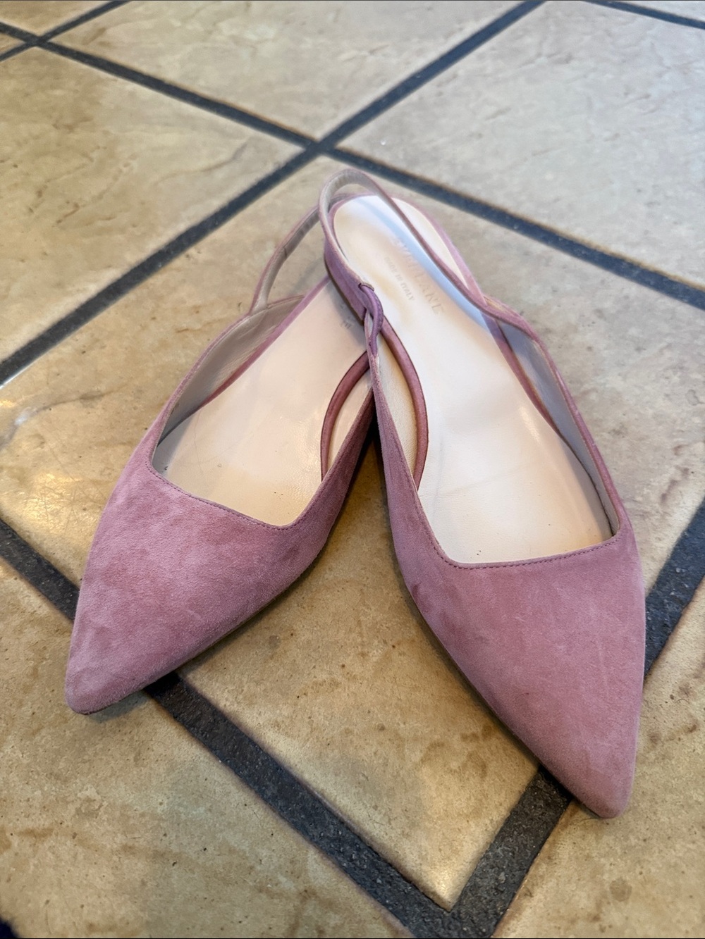Everlane Mauve Suede Pointed Slingback Flats